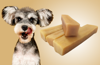 Are These The Perfect Dog Treats?