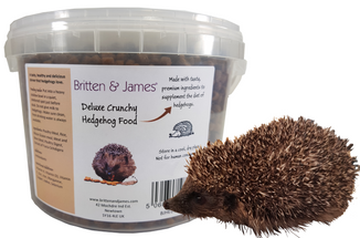 Hedgehogs and Havenmore Hedgehog Rescue