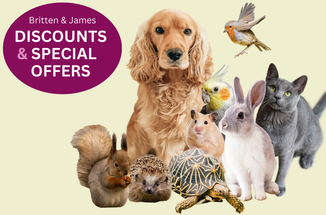 Discounts & Special Offers