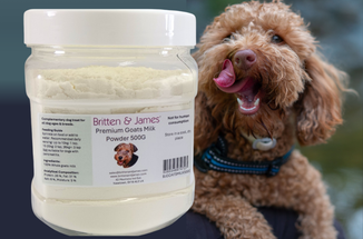 The Paw-some power of Goats Milk Powder for dogs.