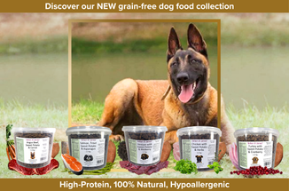 Discover the Benefits of our NEW Healthy Dog Food Flavour
