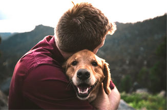Pets and Wildlife Boost Our Happiness Pets and Wildlife Boost Our Happiness