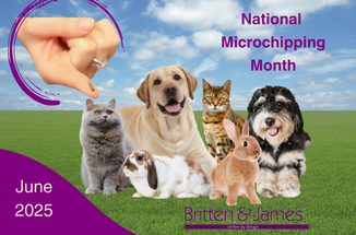National Microchipping Month – June 2025