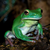 Calcium powder for amphibians, a natural supplement for frogs