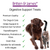 Digestive Support Treats for Cats & Dogs 1kg
