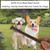 Two happy dogs running up to a hand holding a Britten & James Beef Stick treat. Text says '100% Pure Meat Beef Sticks.  Healthy Handy-Sized Natural Treats for Dogs'