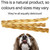 Thin Braided Beef Head Skin Sticks for Dogs - 20