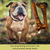 "An energetic English Bulldog running through a woodland setting with its tongue out, pictured beside a large dried ostrich bone treat. Text reads: 'Very long-lasting, Ultra-low in fat and promotes dental health.'"