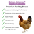 A photograph of a chicken on a white background, with text that reads: Britten & James Premium Poultry Boost.  Tick-list of benefit says 'Supports Well-being & Performance, Supports strong egg production, High protein, Calcium Rich, Boosts Energy, Improves Bone Health and Egg Strength'.