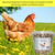 A yellow box with black text says 'Specially designed to boost energy and support overall well-being, health and performance!' Underneath is a photo of a brown hen surrounded by grass and buttercups, with blue sky and a tree in the background.  To the bottom right is a tub of Britten & James Premium Poultry Boost.