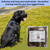 On a green hillside with blue sky in the background, a shiny black dog with its tongue out looks happily towards a pack of Britten & James Large Beef Dog Chews. Text reads ' Delicious and tasty pure meat strips - the perfect training treats for your four-legged friend."