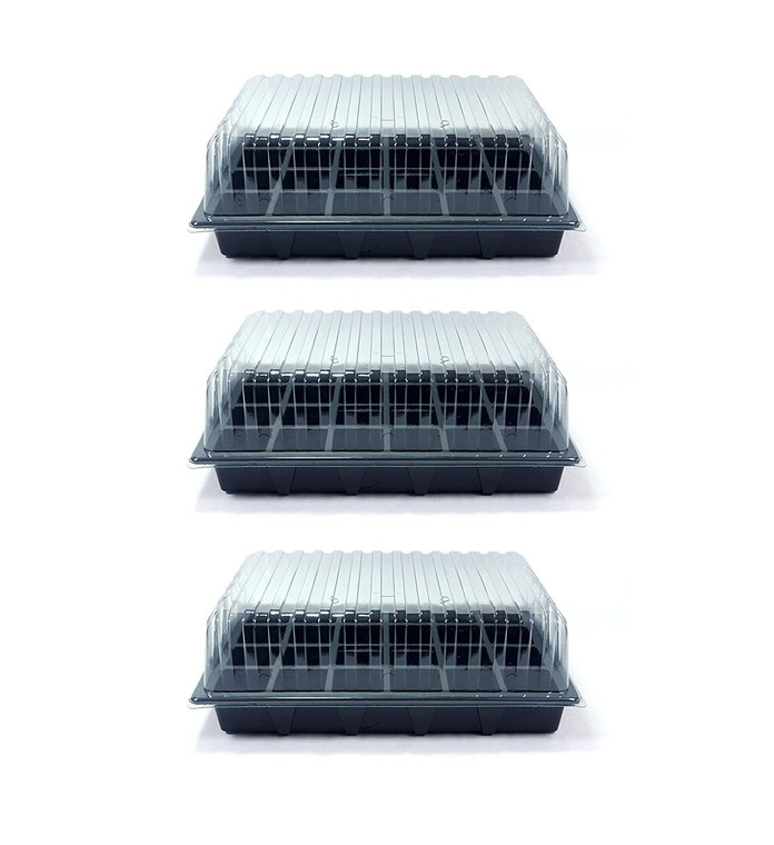 3 Standard Propagators with 24-Cell Inserts