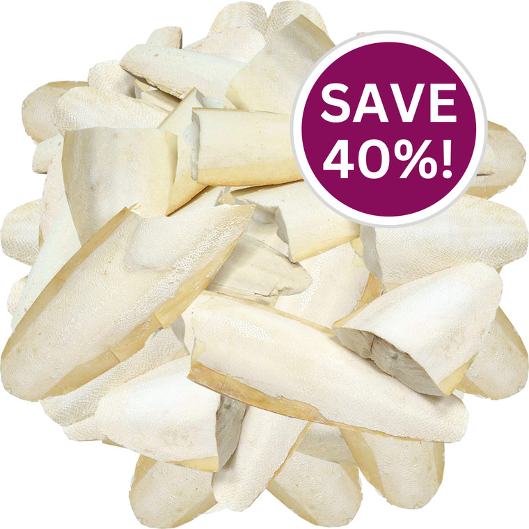 A selection of creamy coloured cuttlefish bone pieces, which are a great treat and beak trimmer for birds, turtles, tortoises, terrapins and snail, a calcium boost for them all and for squirrels too. To the top right is a purple circle with white text saying 'Save 40%!'.