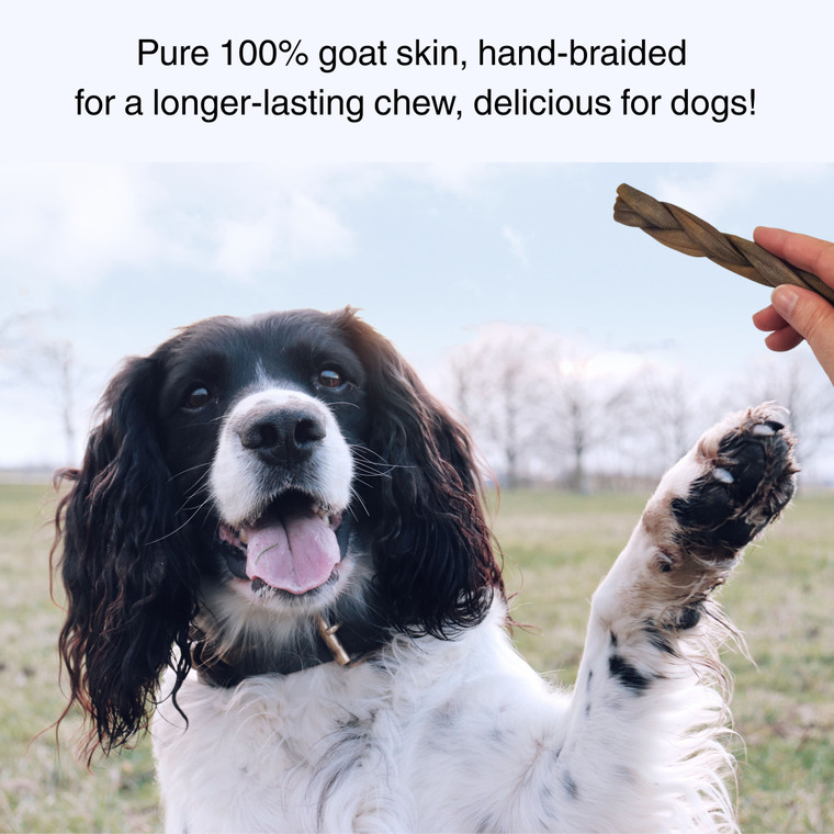 A happy black and white spaniel raising its paw, with a Britten and James braided goat chew being offered to it on the right. In the background is a light blue sky and light green grass.  Text says 'Pure 100% goat skin, hand-braided for a longer-lasting chew, delicious for dogs!' A happy black and white spaniel raising its paw, with a Britten and James braided goat chew being offered to it on the right. In the background is a light blue sky and light green grass.  Text says 'Pure 100% goat skin, hand-braided for a longer-lasting chew, delicious for dogs!'