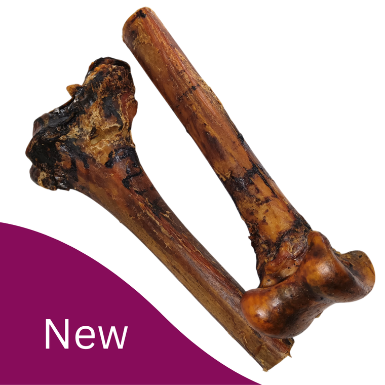 Premium Ostrich Bone - Pack of 2