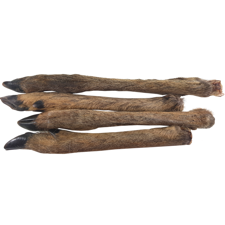 This picture shows 4 deer legs with hooves