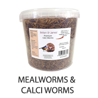 Mealworms & Calci Worms