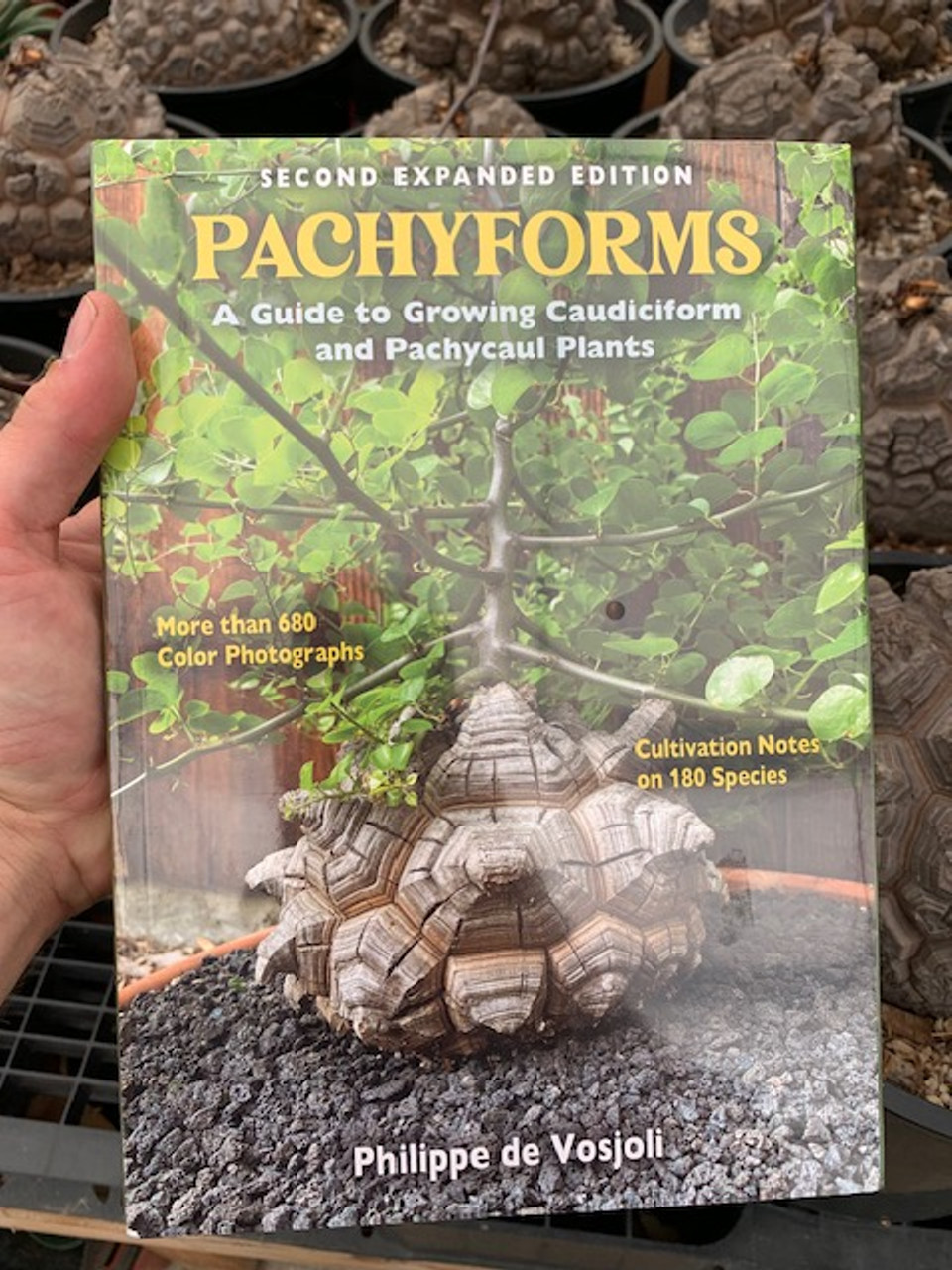 PACHYFORMS A Guide to Growing Caudiciform and Pachycaul