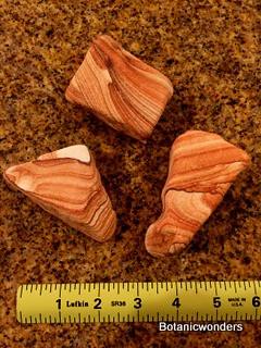 3 Banded Sandstone Rocks Botanic Wonders