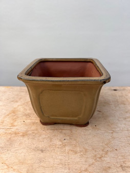 Beige Square Bonsai Pot