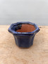 Mini Scallop Edge Glazed Ceramic Bonsai Pot