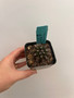 Copiapoa streptocaulon 2" Pot A