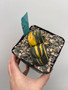 Gasteria armstrongii variegata 5" Pot A