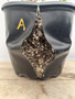 Raphionacme flanaganii 2 Gallon Pot A