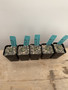 Ortegocactus macdougalii 2" Pots