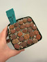 Lithops species 4" Pot - Red