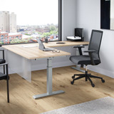 StandUp Standing Desks Collection