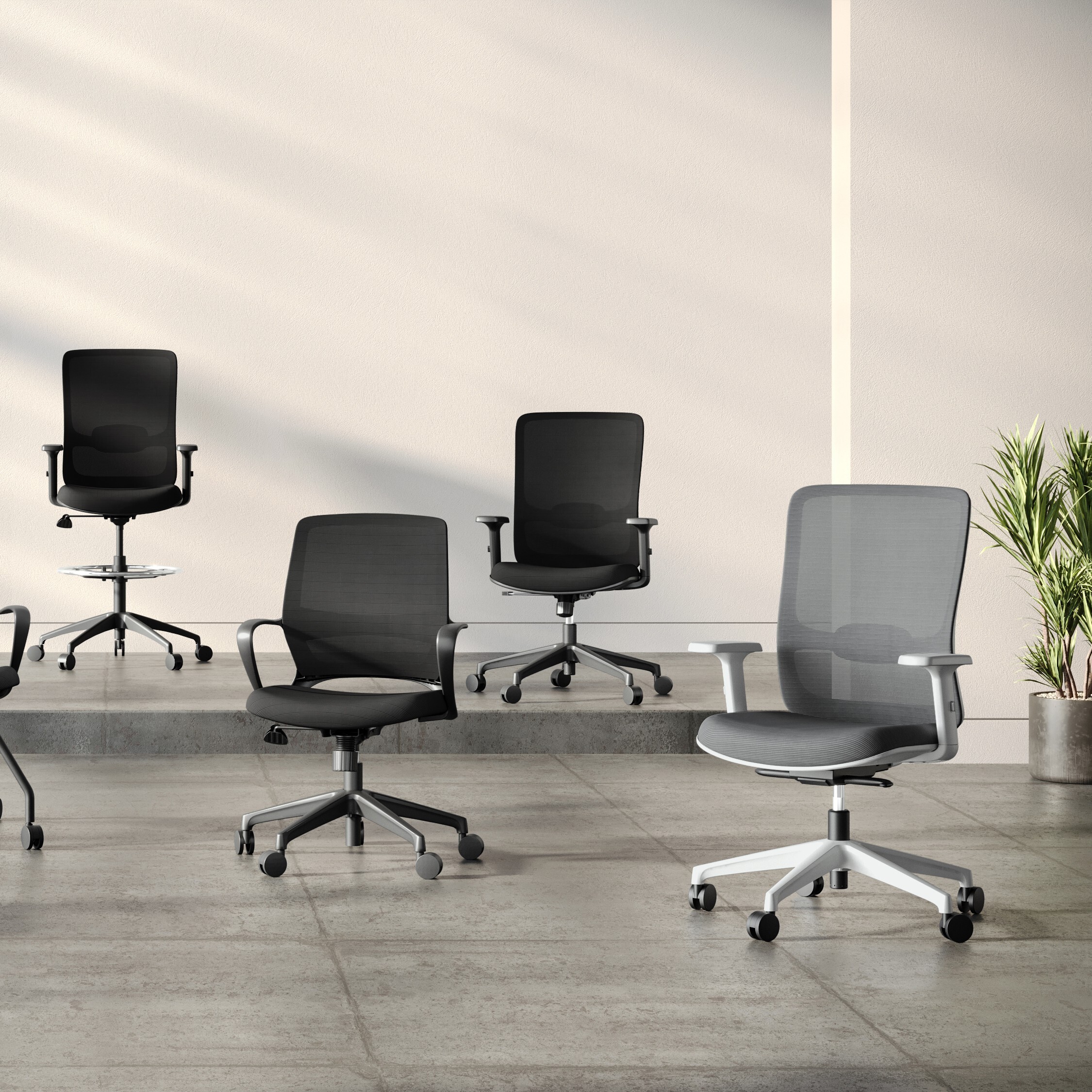 Collections - Orion - COE Distributing