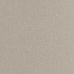 Beige Stock