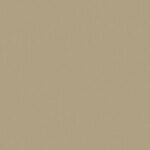 Tropic Sand