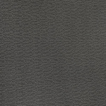 Cool Gray - Silver