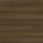 Modern Walnut Stock