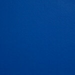 Blue Quickship