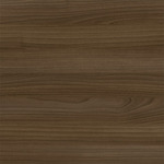 Modern Walnut Stock