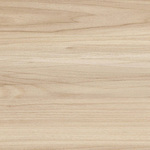 American Elm Stock
