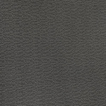 Cool Gray - Silver