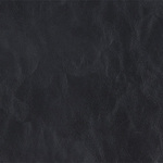 Onyx Stock