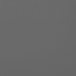 Gray Stock
