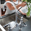 Perrin and Rowe Ionian 4173 Tap With Rinse Pull-Out Spray and Twin Lever Handles