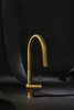 Riobel Azure Single Lever with Pull Down Spray Brushed Gold Kitchen Tap