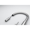 Franke Pescara J Pull Down Spray Tap - Stainless Steel