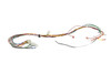 Carrier 322201-402 Wire Harness