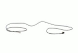 Carrier 38AP660004 Exv Cable Kit Image 2