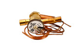 Carrier EA36UZ821 Valve Txv Image 2