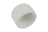Universal Parts 23886 1 1/4" Threaded PVC Cap Image 2