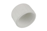 Lasco 23886 1 1/4" Threaded PVC Cap
